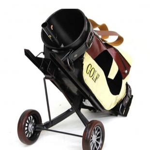 Golf  Arabası Şaraplık
