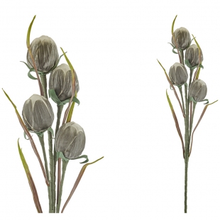 Gri-Beyaz Balon Çiçeği 95 cm