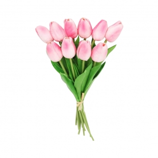Islak Lale Pembe-Beyaz