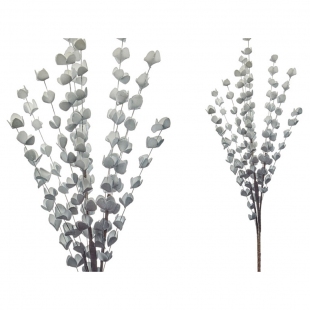 Mercimek Çiçeği Mavi 98 cm