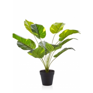 Yapay Saksılı Pothos 55 cm