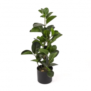 Hookeriana Yapay Çiçek 47 cm