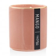 Odore Kokulu Mum Mango 150 gr