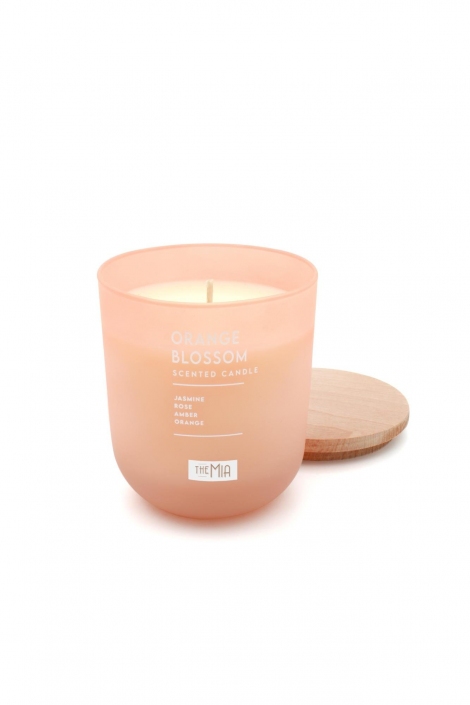 Envy Orange Blossom Mum - Somon