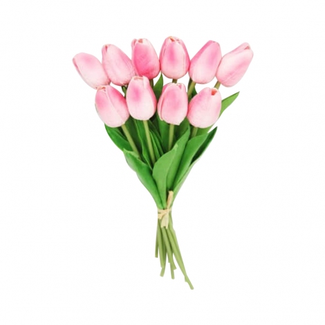 Islak Lale Pembe-Beyaz