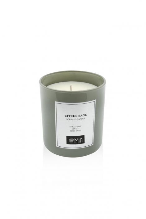 Le Jardin Citrus Sage Mum - Yeşil