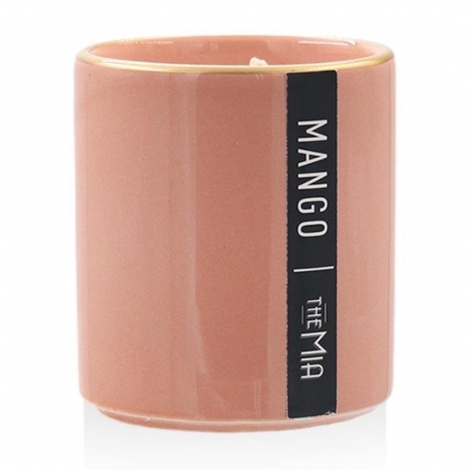 Odore Kokulu Mum Mango 150 gr