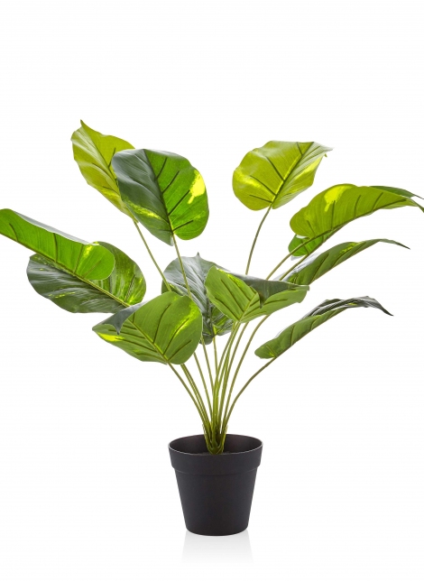 Yapay Saksılı Pothos 55 cm