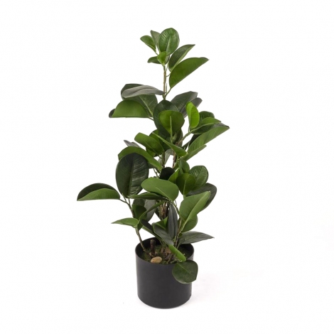 Hookeriana Yapay Çiçek 47 cm
